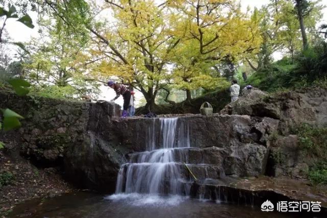 娘娘山海拔,贵州盘州市哪个景区最好玩？