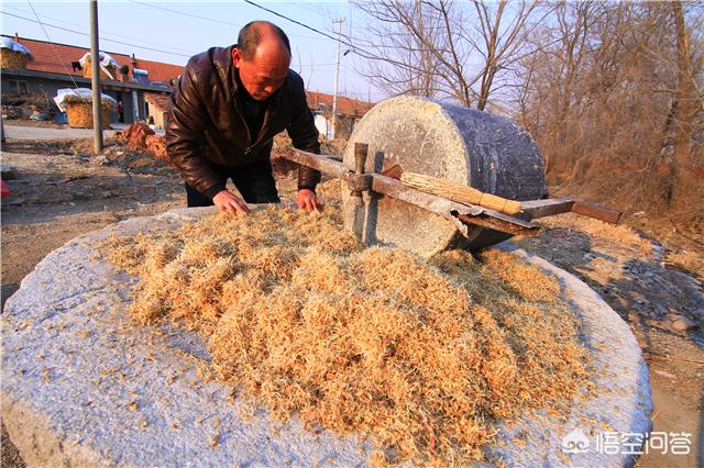 威海大叔:东北建哥往事中，建哥为啥不露面了