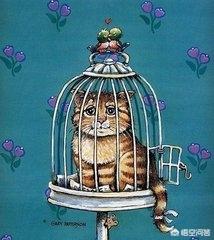笼养猫的好处:养猫的好处和坏处 如何让一只猫心甘情愿的呆在笼子里？