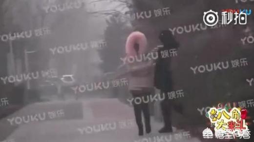 贾乃亮的新恋情是谁:认识一个男的，人傻钱少，如何交往？