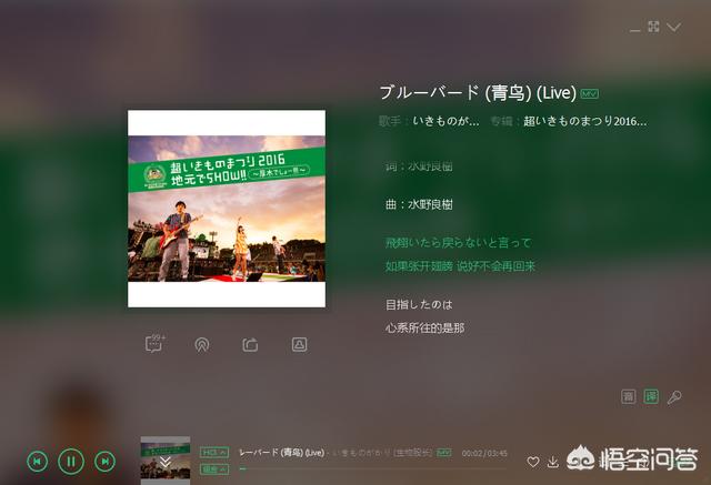 本田莉子:你有没有喜欢到单曲循环的日语歌