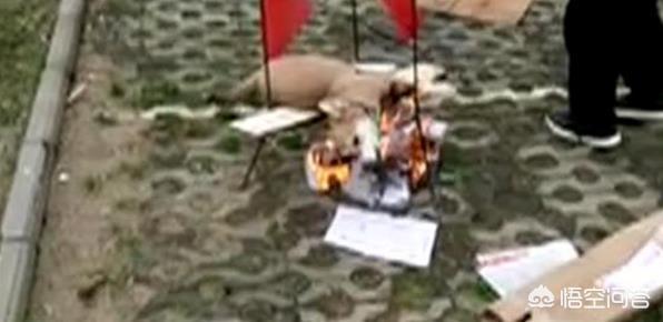 男子当街生火烤狗优惠券:因小狗“不听话”。武汉一男子当街烤死小狗，这事你怎么看？