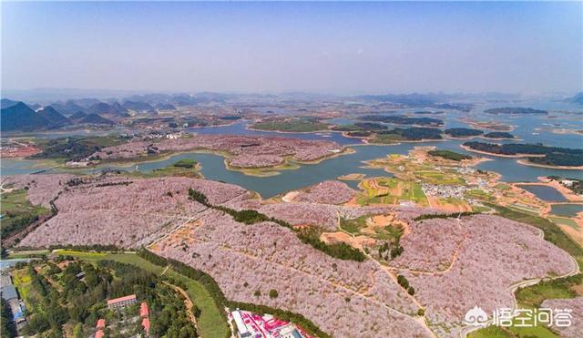 观鸟大年海报:贵州有哪些免门票又很值得一去的景点？