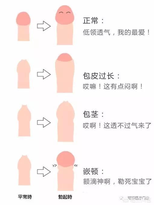 不育与性医学专家张滨