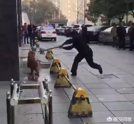 玉林狗贩虐狗逼爱狗者不买就夹死:最近养狗问题频出，是大众整体素质不高，还是养狗者自身的问题？ 玉林虐狗事件最新消息