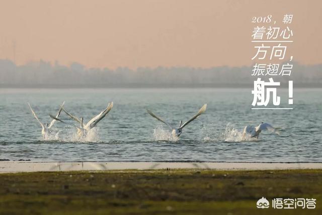 2017再见迎接2018,说说你最想去哪里旅行 ​？