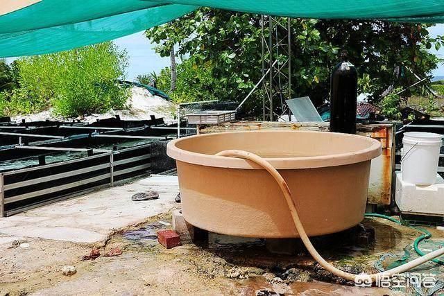 玉带活了是什么样子的,人生百态，你活成了什么样子？