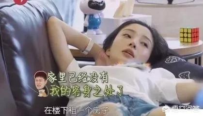 潘阳与狗的艳照:李小璐是如何将一副好牌打成烂牌的？