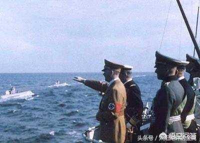 香格里拉藏獒基地:云南香格里拉到底有多出名？