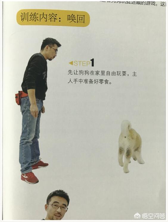 朵拉训练狗狗在线小游戏:如何训练狗狗在遛狗时就在你身边，不往前冲，也不扑人和到处闻？ 朵拉救狗狗小游戏试玩