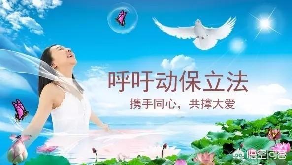 长沙金毛:在街上杀死一条未拴链子的狗是否违法？