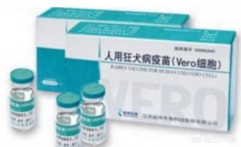狗狂犬疫苗副作用:你家的狗注射了狂犬疫苗吗？如果不注射，有什么潜在危险？