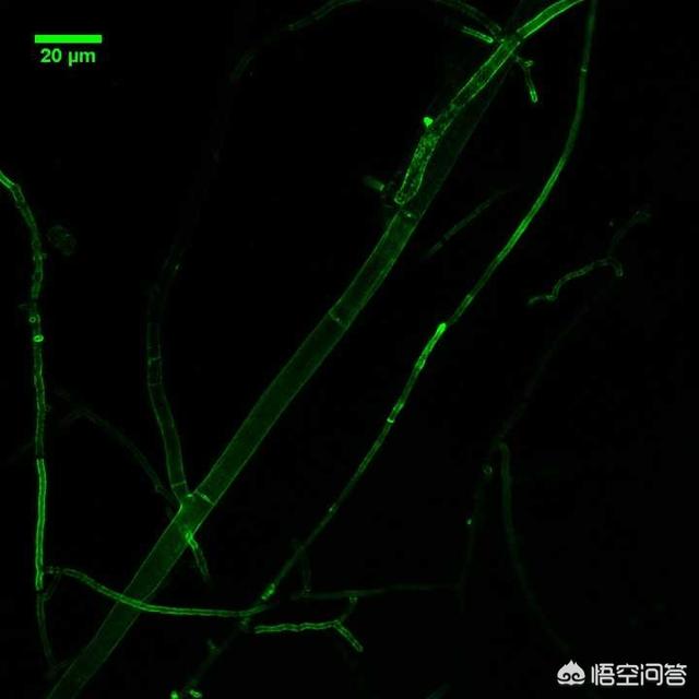 世界真细小:你是怎么理解“世界真小”这个词的？