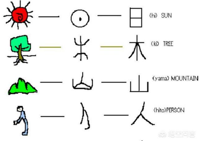 头条问答 为什么表达器官的汉字都与 月 有关 不健康的汉字多有 疒 这个部首 18个回答