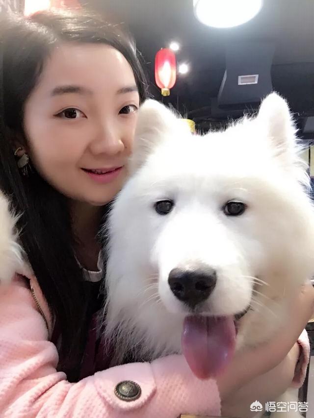 郑板桥的画:郑板桥以画什么最有成就？