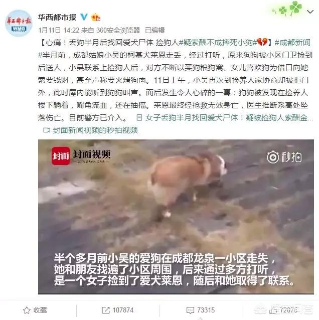 成都摔狗事件跟踪:如何看待“摔死柯基犬的人，嚎啕大哭着道歉”这种行为？