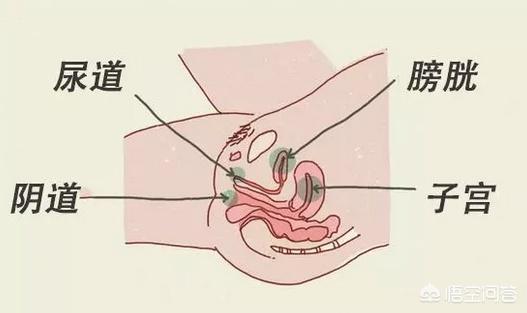 杨丽萍个人资料:10个女性有9个尿路感染的原因是什么？