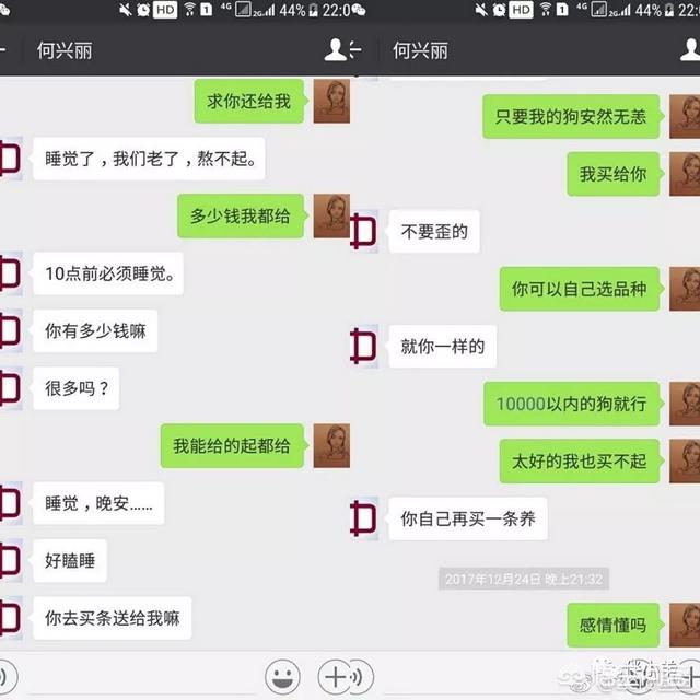 湖北女子虐狗:如何看待何兴丽虐狗事件？