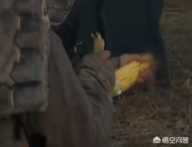 爱普士主食:三国时期人们都吃些什么？