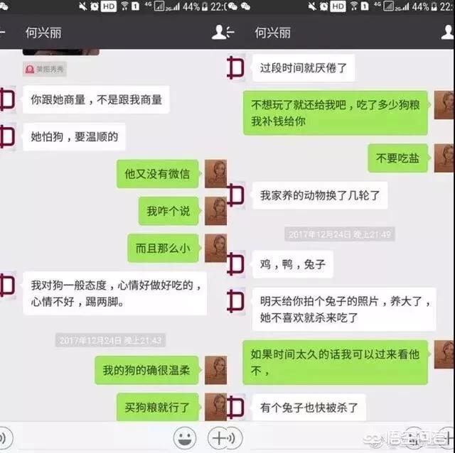 何兴丽是老师吗:勒索不成摔死狗的何兴丽，是道德问题还是法律问题？