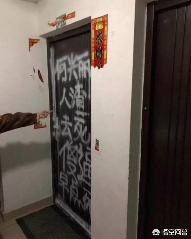 摔狗事件后续:女子索酬不成摔死狗，道歉就可以了吗？