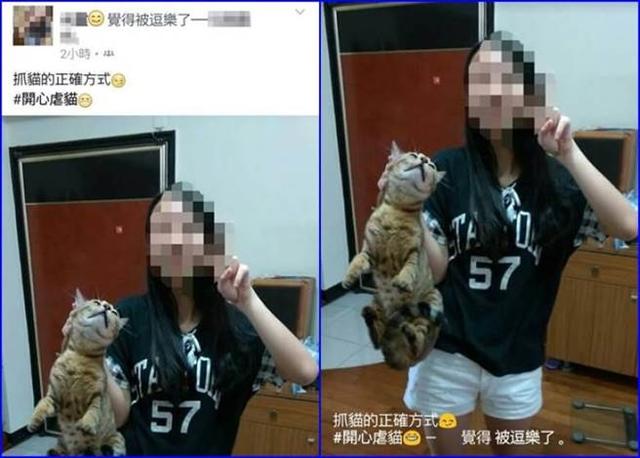 猫为什么能像液体一样缩在盒子里:为什么掐住猫脖子后面的肉，猫就动不了了？猫还有哪些弱点？