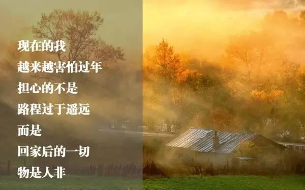早安感悟171228：现在的我，害怕过年