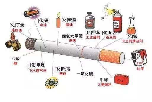 清肺化痰的茶,有什么茶适合正在戒烟的人喝？