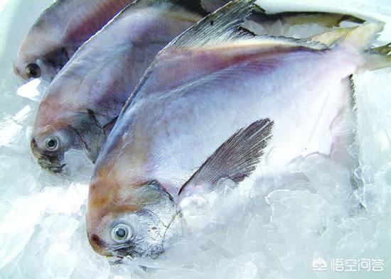 生鱼片蘸芥末可以杀灭细菌吗，日本人那么喜欢吃生鱼片，为什么体内没有寄生虫
