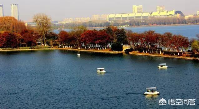 南京滨江公园车震:南京河西滨江公园 南京风景宜人值得去的免费公园，都有哪些？