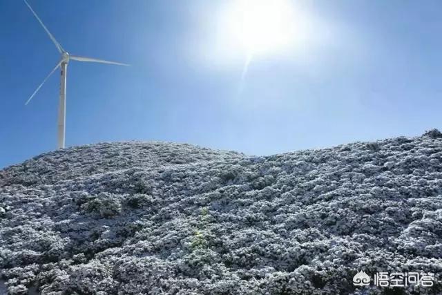 娘娘山海拔,贵州盘州市哪个景区最好玩？