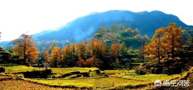 娘娘山海拔,贵州盘州市哪个景区最好玩？