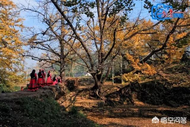 娘娘山海拔,贵州盘州市哪个景区最好玩？