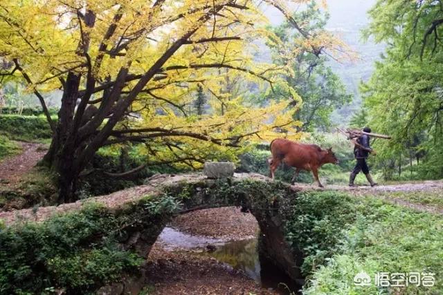 娘娘山海拔,贵州盘州市哪个景区最好玩？