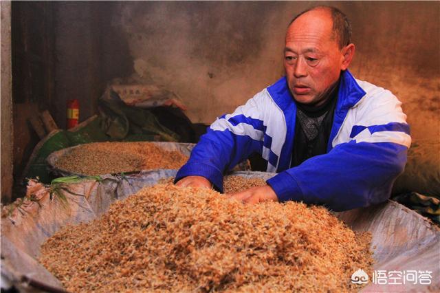 威海大叔:东北建哥往事中，建哥为啥不露面了