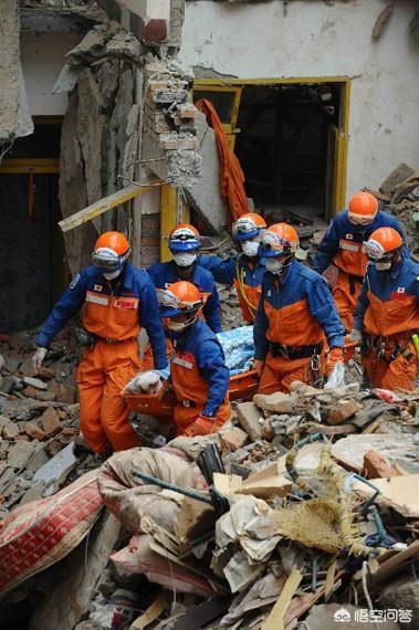 汶川地震搜救犬全部处死:中国汶川地震的时候，日本韩国有没有进行援助？