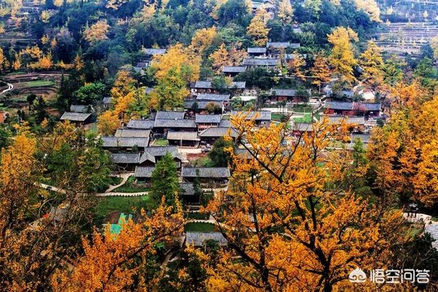 观鸟大年海报:贵州有哪些免门票又很值得一去的景点？