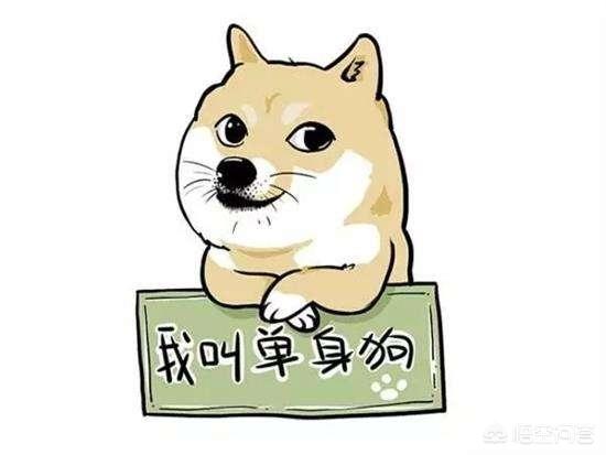 人与狗的历史图片:如果地球没有人类，是不是将永远不会出现狗这种生物？