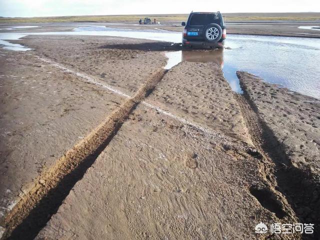可可西里简介:为什么说可可西里无人区危险？