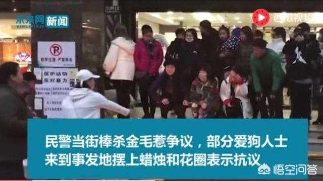 导盲犬珍妮的视频:珍妮接受采访时说，哪怕詹姆斯38岁，也会给他顶薪，你怎么看？