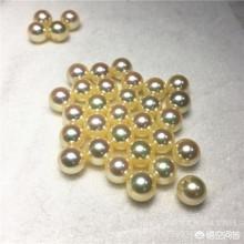 气质高贵的白冠噪鹛:珍珠都有哪些颜色？哪种颜色的最贵重？