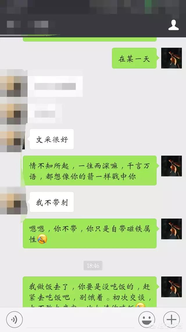 有没有追女生的聊天实例，让我瞻仰一下约会是怎么炼成的