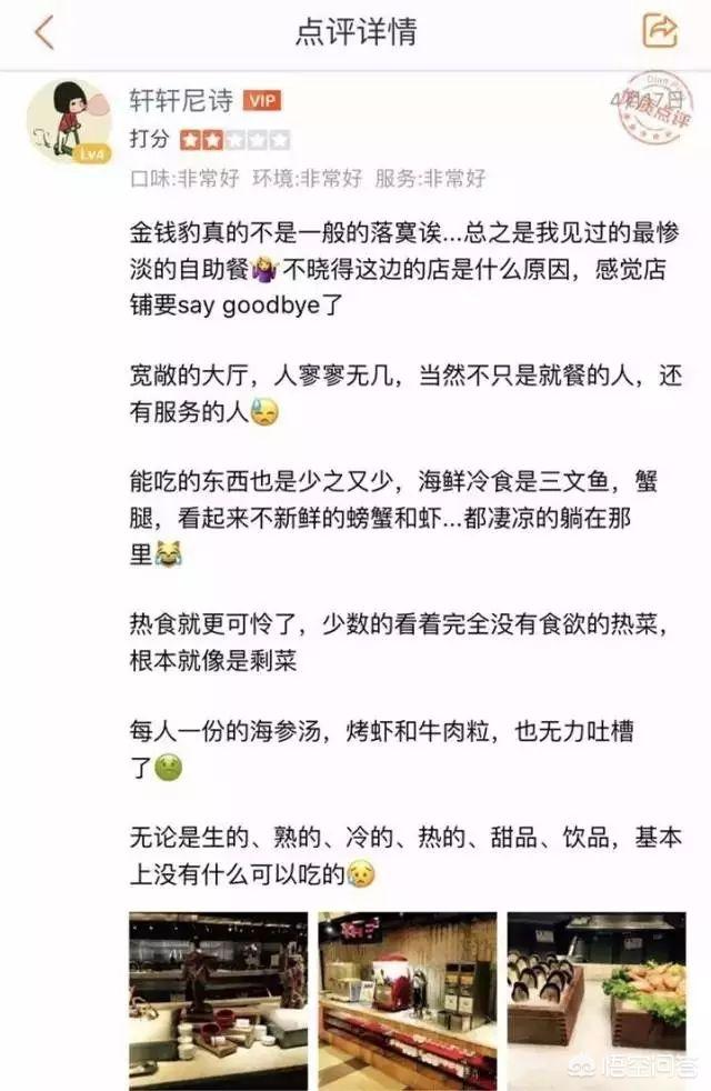 沈阳金鸿区块链，沈阳当年的金钱豹为什么黄了