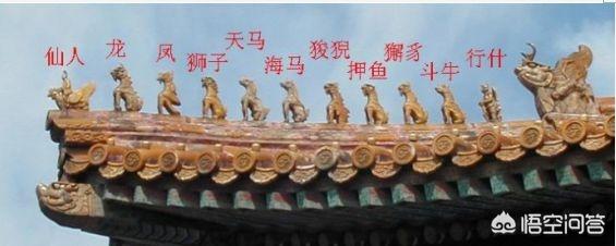 北京上空出现两条真龙，有人知道龙和凤是什么关系吗
