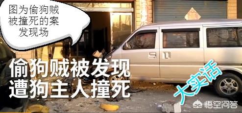 偷狗贼被村民虐打致死:主人抓车窗阻止偷狗贼，被拖行救治无效死亡，应该怎么判？