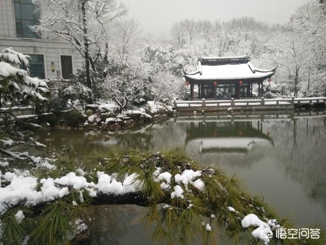 豆柴小犬资源:没钱可以外出旅游吗？一边挣钱，一边旅游，怎么样？ 豆柴小犬 电视剧