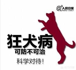 血清对狂犬病的预防措施:被狗咬了怎么预防狂犬病发作？狂犬病毒发病时有⺇个活下来的？