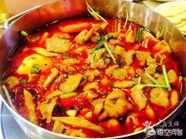 福原爱宠物医院嘉州:你喜欢有点笨笨的、做饭很好吃、心地很善良的女孩吗？ 福原爱宠物医院嘉州路