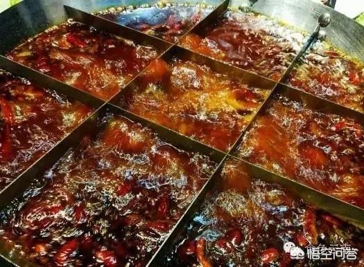 福原爱宠物医院嘉州:你喜欢有点笨笨的、做饭很好吃、心地很善良的女孩吗？ 福原爱宠物医院嘉州路