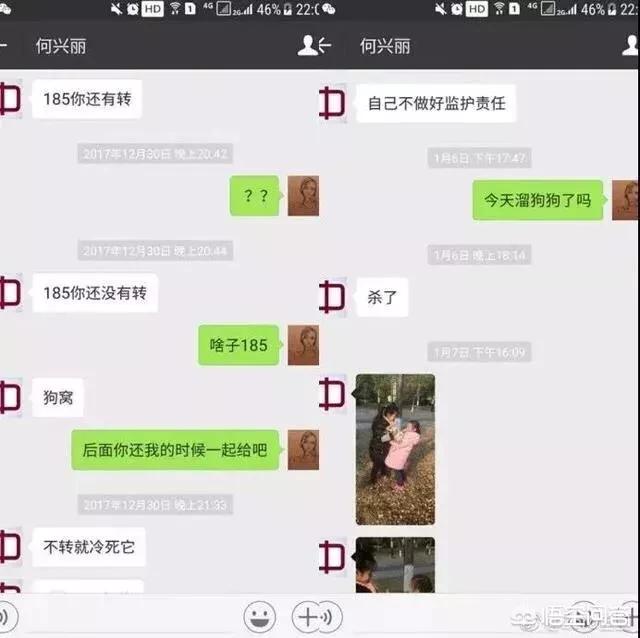 何兴丽是老师吗:勒索不成摔死狗的何兴丽，是道德问题还是法律问题？
